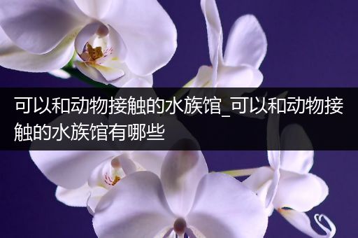 可以和动物接触的水族馆_可以和动物接触的水族馆有哪些