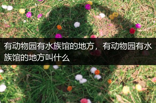 有动物园有水族馆的地方，有动物园有水族馆的地方叫什么