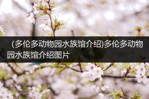 （多伦多动物园水族馆介绍)多伦多动物园水族馆介绍图片