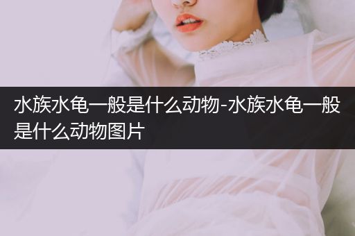 水族水龟一般是什么动物-水族水龟一般是什么动物图片