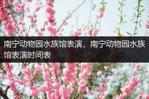 南宁动物园水族馆表演，南宁动物园水族馆表演时间表