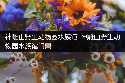 神雕山野生动物园水族馆-神雕山野生动物园水族馆门票