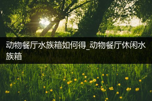 动物餐厅水族箱如何得_动物餐厅休闲水族箱
