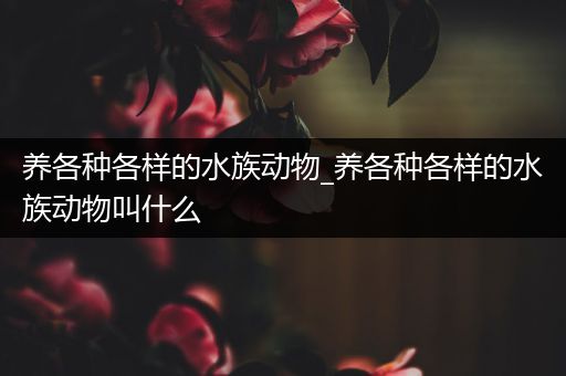 养各种各样的水族动物_养各种各样的水族动物叫什么
