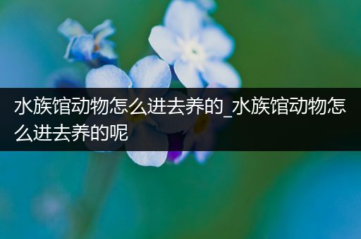 水族馆动物怎么进去养的_水族馆动物怎么进去养的呢