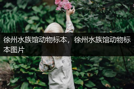 徐州水族馆动物标本，徐州水族馆动物标本图片