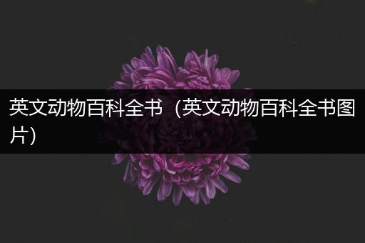 英文动物百科全书（英文动物百科全书图片）