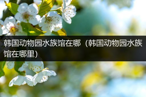 韩国动物园水族馆在哪（韩国动物园水族馆在哪里）