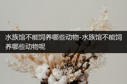 水族馆不能饲养哪些动物-水族馆不能饲养哪些动物呢