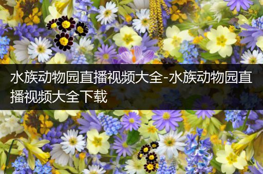 水族动物园直播视频大全-水族动物园直播视频大全下载