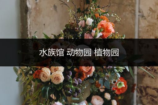 水族馆 动物园 植物园
