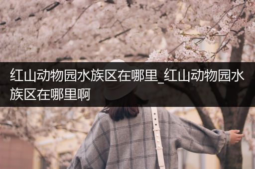 红山动物园水族区在哪里_红山动物园水族区在哪里啊