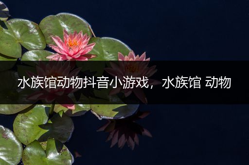 水族馆动物抖音小游戏，水族馆 动物