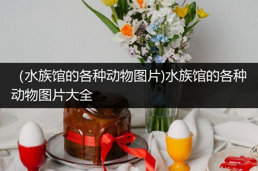 （水族馆的各种动物图片)水族馆的各种动物图片大全