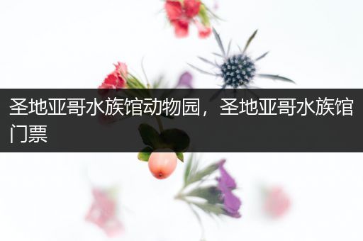 圣地亚哥水族馆动物园，圣地亚哥水族馆门票