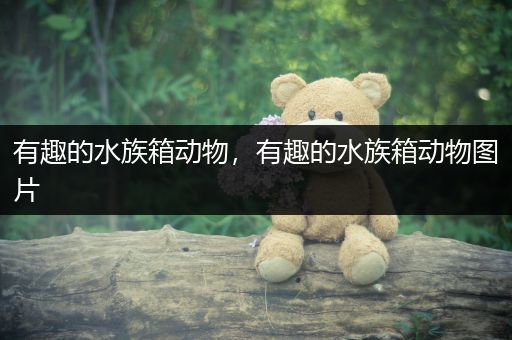 有趣的水族箱动物，有趣的水族箱动物图片