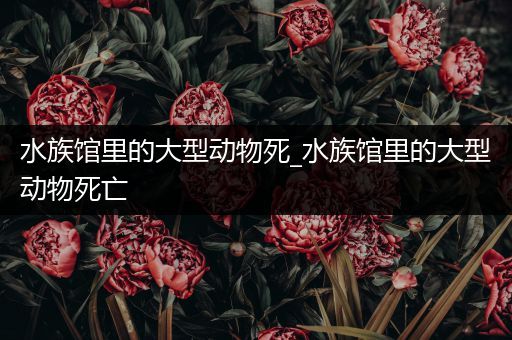 水族馆里的大型动物死_水族馆里的大型动物死亡