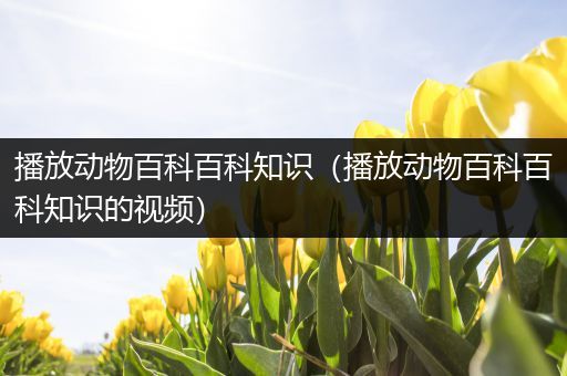 播放动物百科百科知识（播放动物百科百科知识的视频）