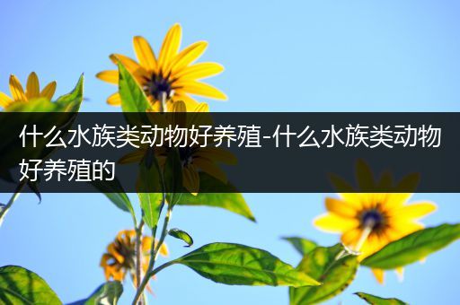 什么水族类动物好养殖-什么水族类动物好养殖的