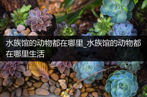 水族馆的动物都在哪里_水族馆的动物都在哪里生活