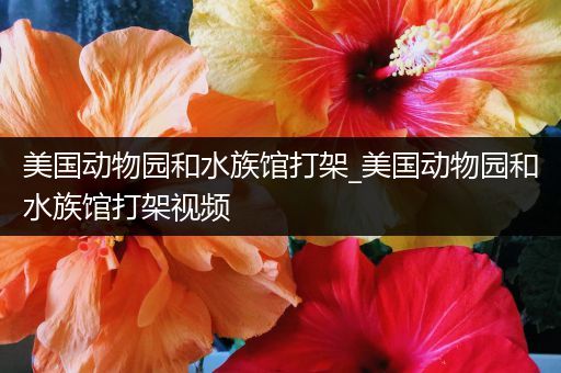 美国动物园和水族馆打架_美国动物园和水族馆打架视频