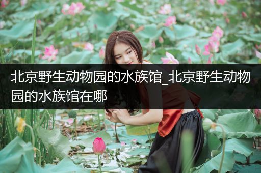 北京野生动物园的水族馆_北京野生动物园的水族馆在哪