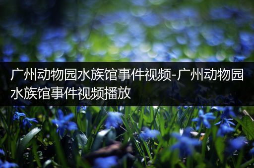 广州动物园水族馆事件视频-广州动物园水族馆事件视频播放