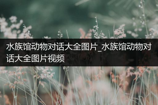 水族馆动物对话大全图片_水族馆动物对话大全图片视频