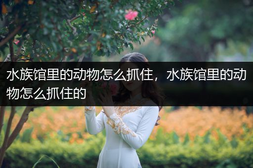 水族馆里的动物怎么抓住，水族馆里的动物怎么抓住的