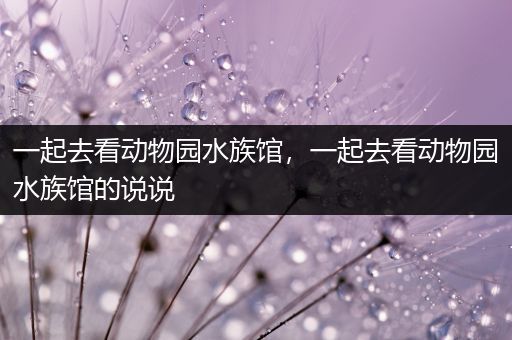 一起去看动物园水族馆，一起去看动物园水族馆的说说