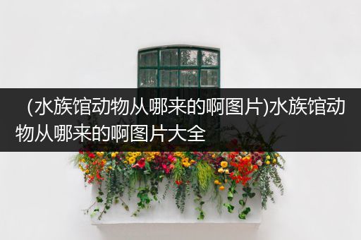 （水族馆动物从哪来的啊图片)水族馆动物从哪来的啊图片大全