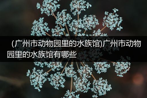 （广州市动物园里的水族馆)广州市动物园里的水族馆有哪些