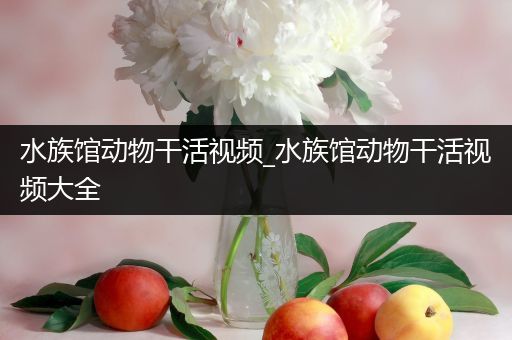 水族馆动物干活视频_水族馆动物干活视频大全