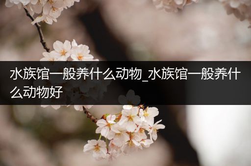 水族馆一般养什么动物_水族馆一般养什么动物好