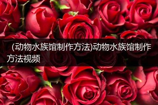（动物水族馆制作方法)动物水族馆制作方法视频