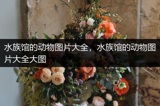 水族馆的动物图片大全，水族馆的动物图片大全大图