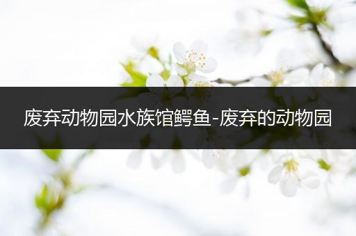 废弃动物园水族馆鳄鱼-废弃的动物园