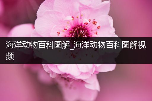 海洋动物百科图解_海洋动物百科图解视频