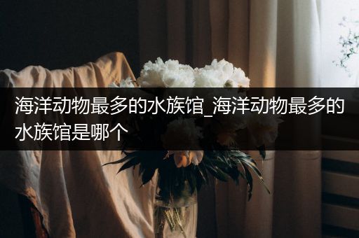 海洋动物最多的水族馆_海洋动物最多的水族馆是哪个