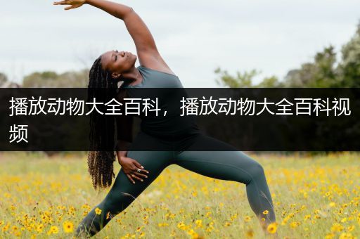 播放动物大全百科，播放动物大全百科视频