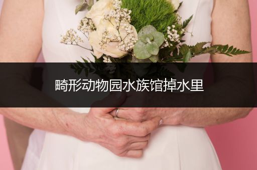 畸形动物园水族馆掉水里
