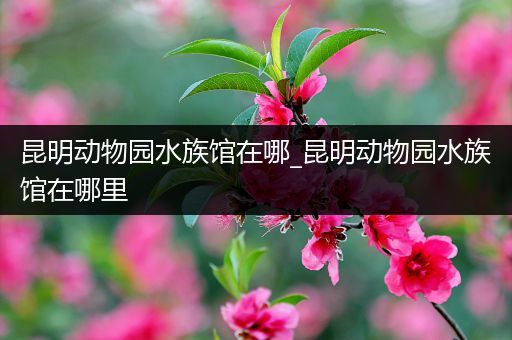 昆明动物园水族馆在哪_昆明动物园水族馆在哪里