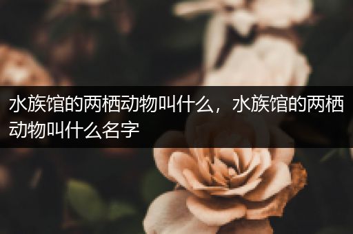 水族馆的两栖动物叫什么，水族馆的两栖动物叫什么名字