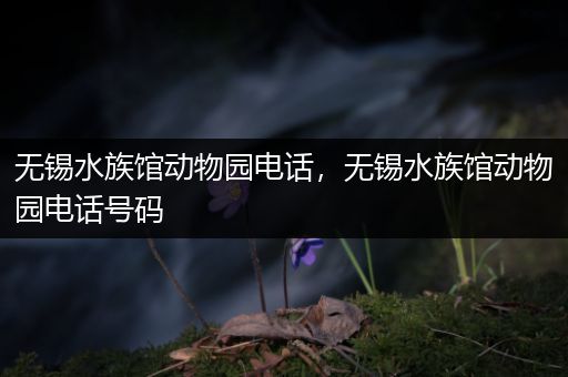 无锡水族馆动物园电话，无锡水族馆动物园电话号码