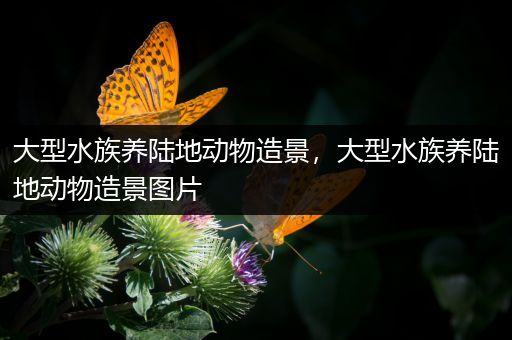 大型水族养陆地动物造景，大型水族养陆地动物造景图片
