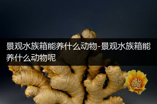 景观水族箱能养什么动物-景观水族箱能养什么动物呢