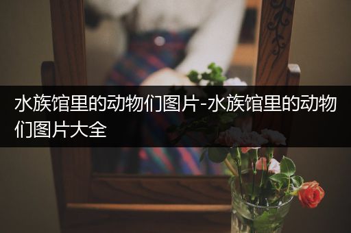 水族馆里的动物们图片-水族馆里的动物们图片大全