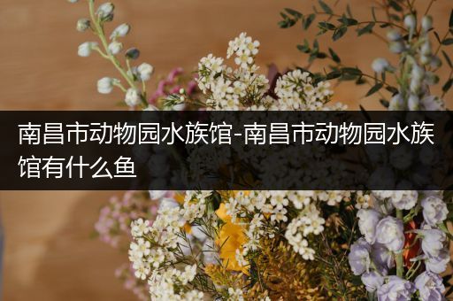 南昌市动物园水族馆-南昌市动物园水族馆有什么鱼