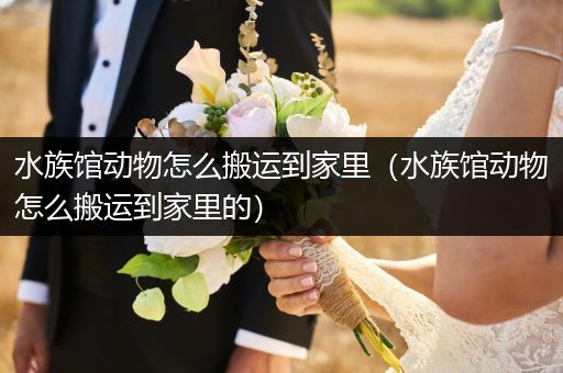 水族馆动物怎么搬运到家里（水族馆动物怎么搬运到家里的）