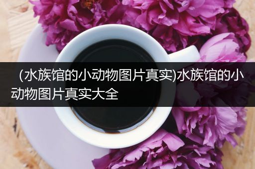 （水族馆的小动物图片真实)水族馆的小动物图片真实大全